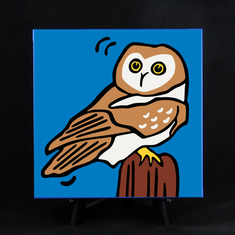 Owl Fine Art Canvas - 2 sizes available